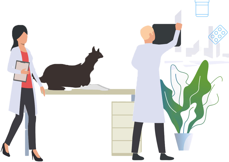 Agriculture & Veterinary